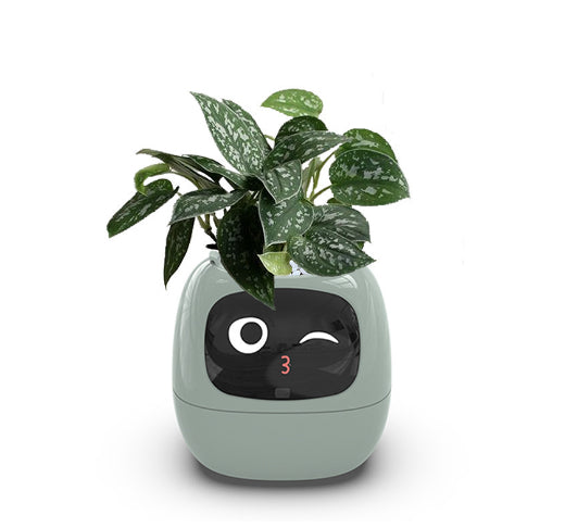 Maceta Inteligente Interactiva | Monitor de Planta con Sensores y Pantalla